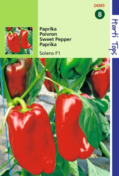 Sweet bell peper Solero F1 (Capsicum) 20 seeds HT